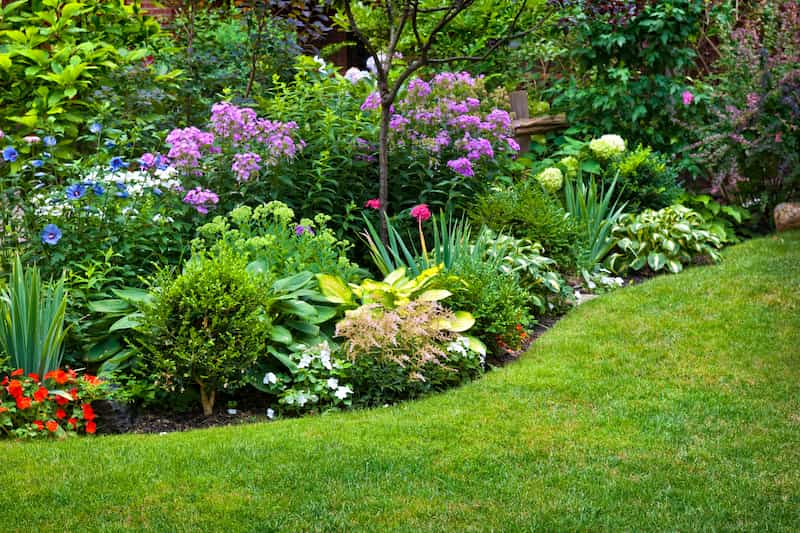 Unlocking the Beauty: The Benefits of Professional Landscape Design